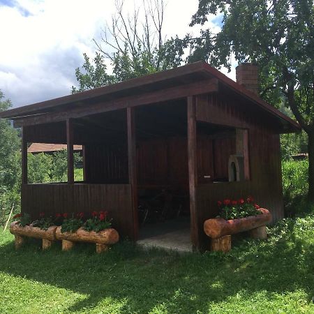 Гостьовий будинок Casa Oana Ioana Моєчу-де-Жос Екстер'єр фото