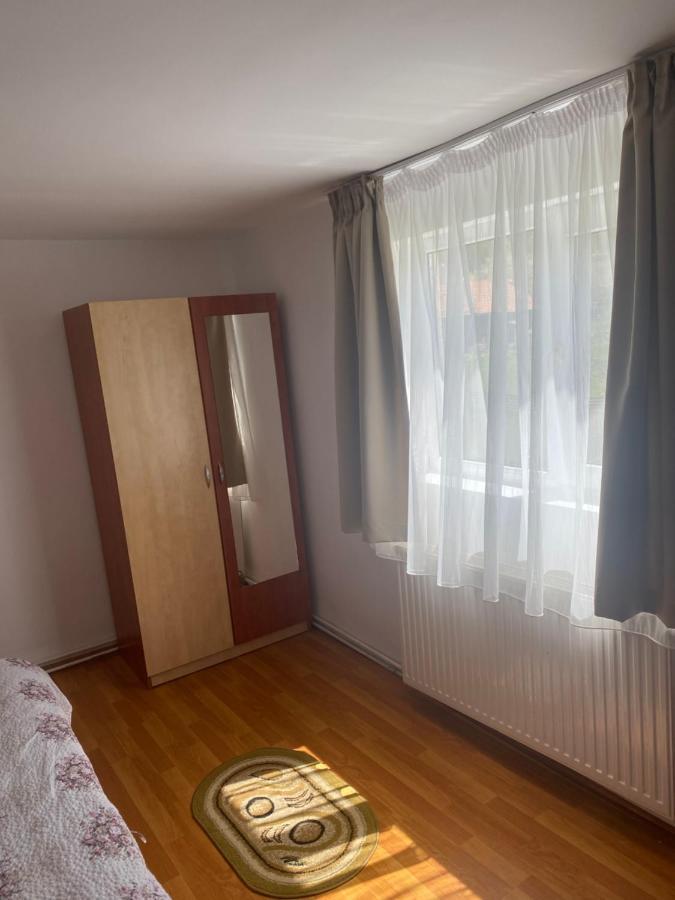 Гостьовий будинок Casa Oana Ioana Моєчу-де-Жос Екстер'єр фото