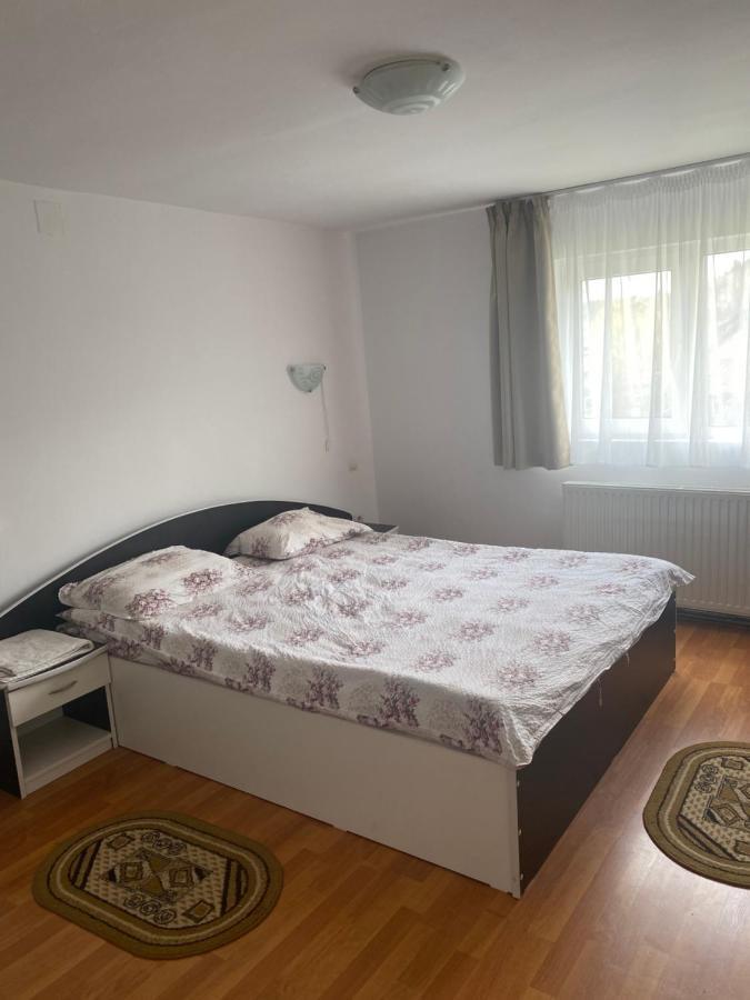Гостьовий будинок Casa Oana Ioana Моєчу-де-Жос Екстер'єр фото