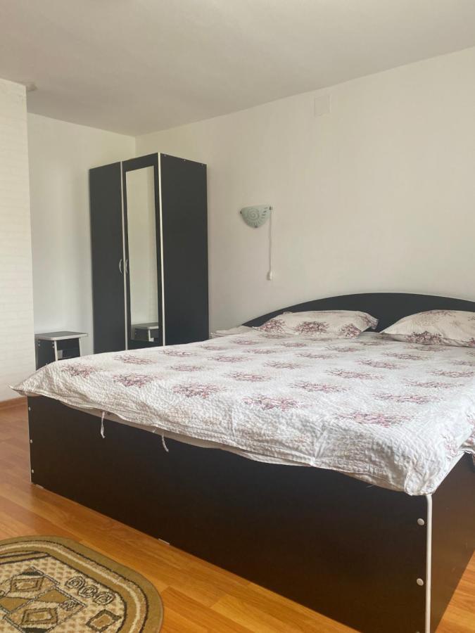 Гостьовий будинок Casa Oana Ioana Моєчу-де-Жос Екстер'єр фото