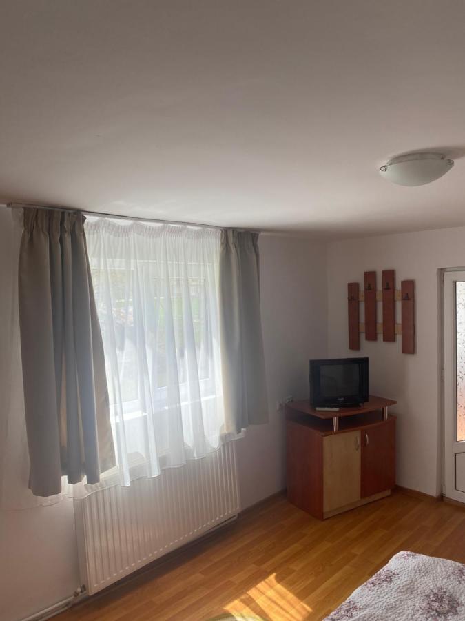 Гостьовий будинок Casa Oana Ioana Моєчу-де-Жос Екстер'єр фото