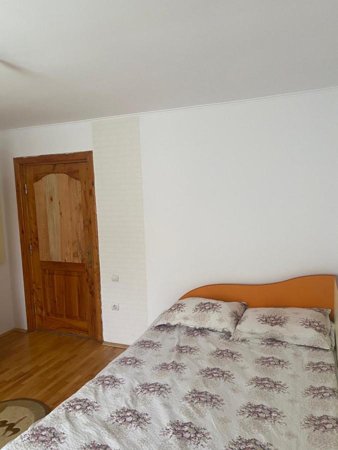 Гостьовий будинок Casa Oana Ioana Моєчу-де-Жос Екстер'єр фото