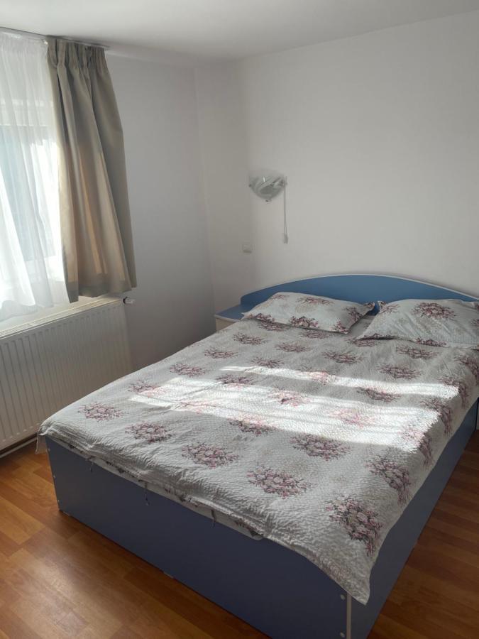 Гостьовий будинок Casa Oana Ioana Моєчу-де-Жос Екстер'єр фото