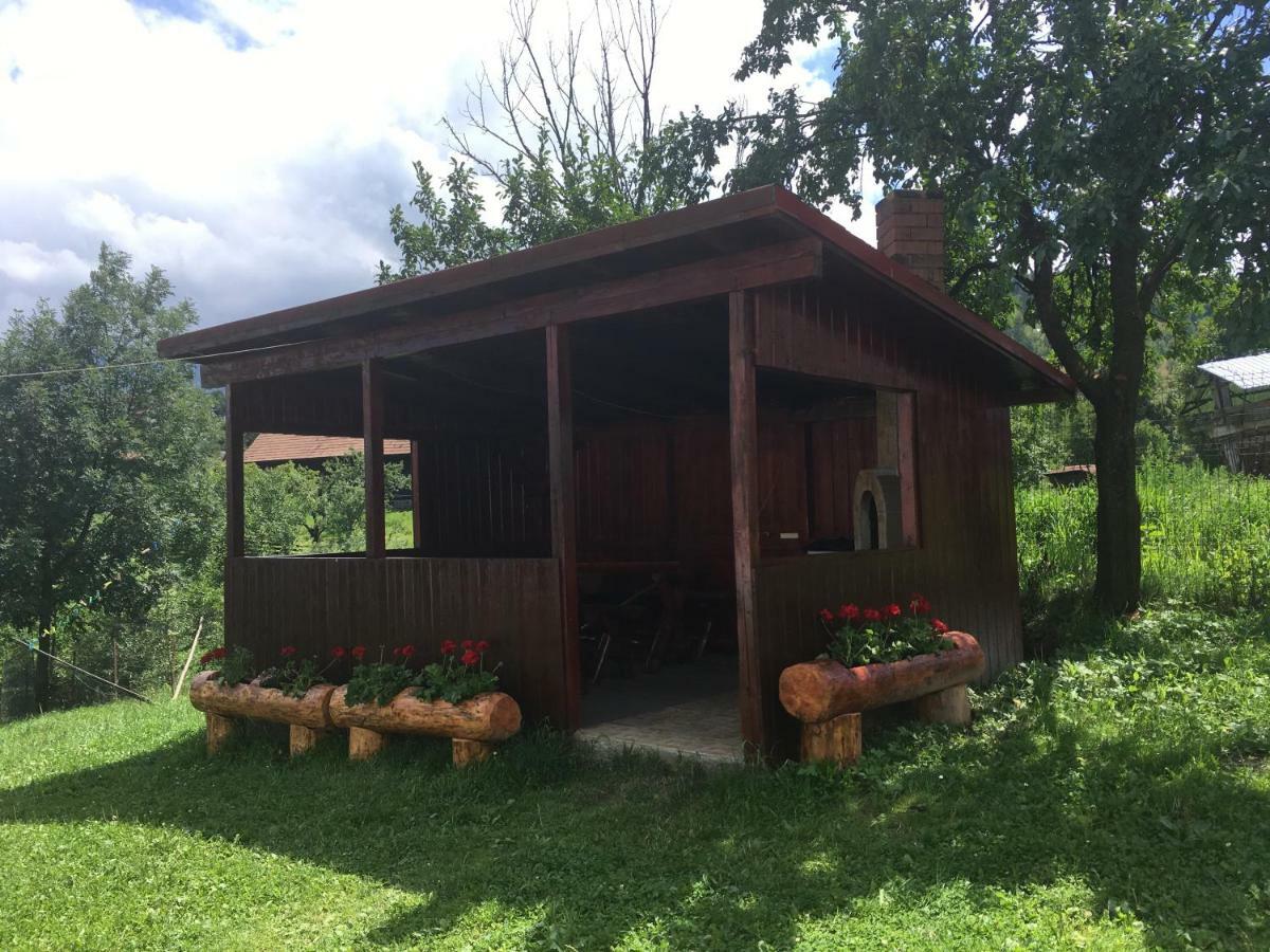 Гостьовий будинок Casa Oana Ioana Моєчу-де-Жос Екстер'єр фото